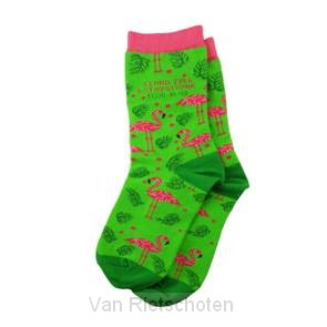 Socks Flamingo