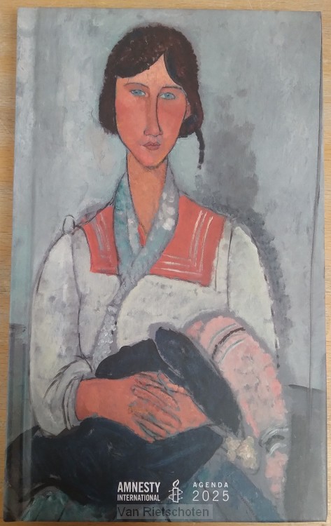 Amnesty International mini agenda 2025