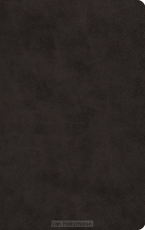 ESV - LP Value Thinline Bible