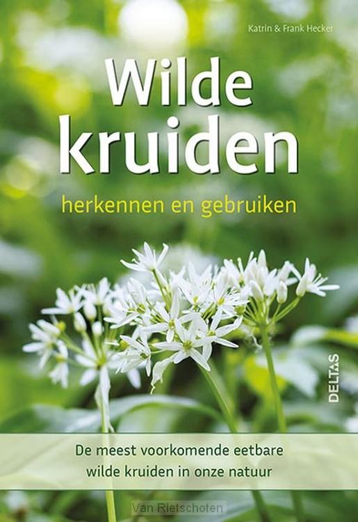 Wilde kruiden herkennen en gebruiken