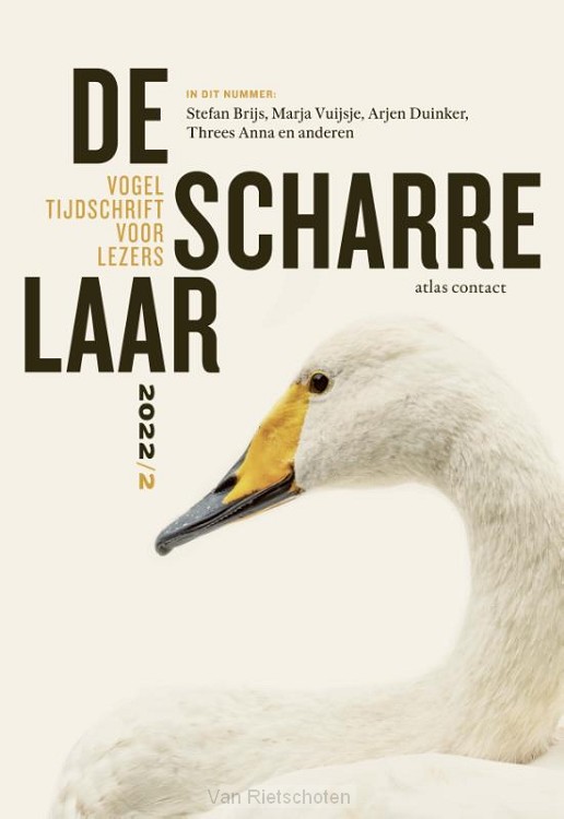 De scharrelaar / 2022/2
