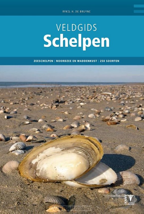 Veldgids Schelpen