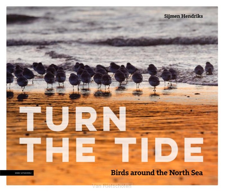 Turn the tide