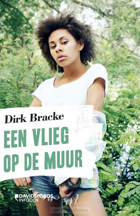 Een vlieg op de muur