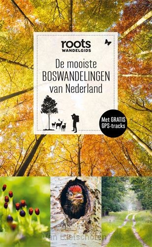 De mooiste boswandelingen van Nederland