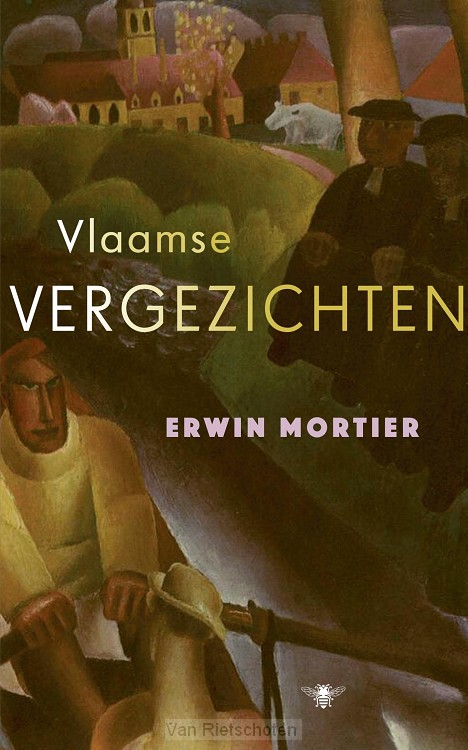 Vlaamse vergezichten