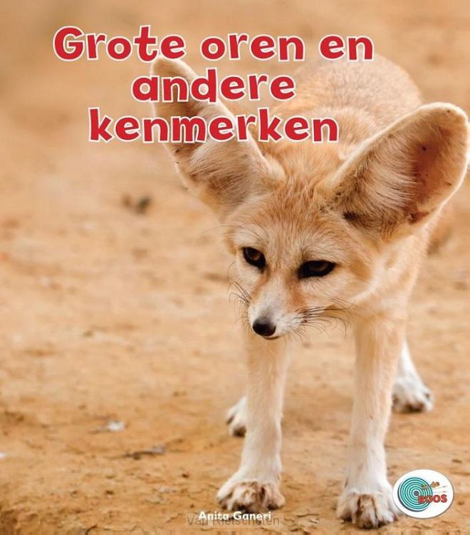 Grote oren en andere kenmerken