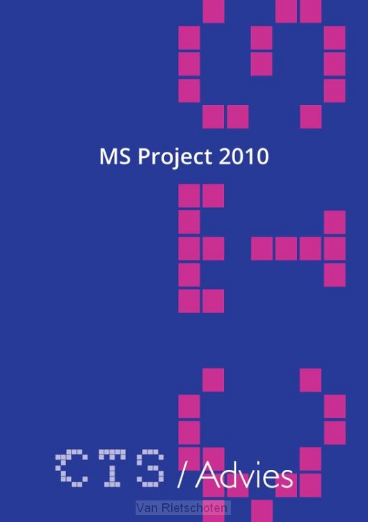 MS Project 2010