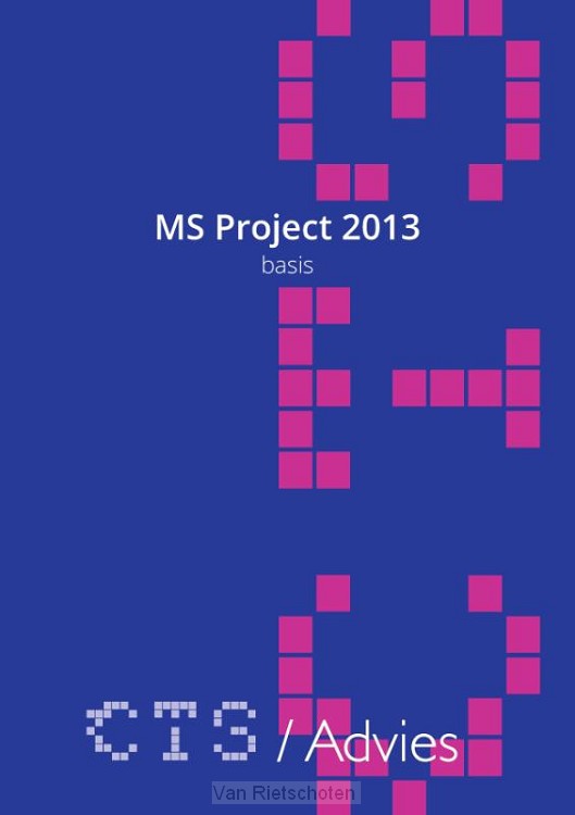 MS Project 2010-2013 Basis