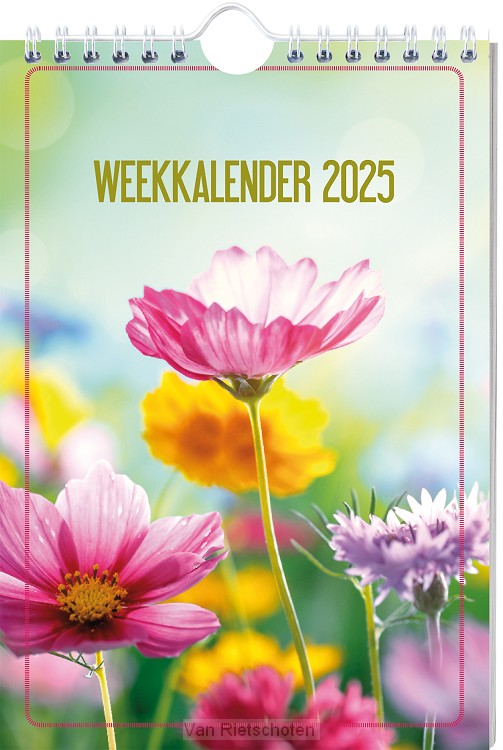 Weekkalender / 2025