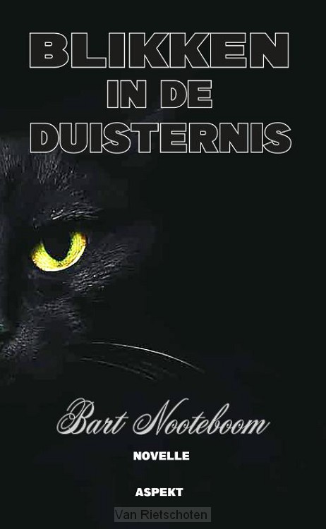 Blikken in de duisternis