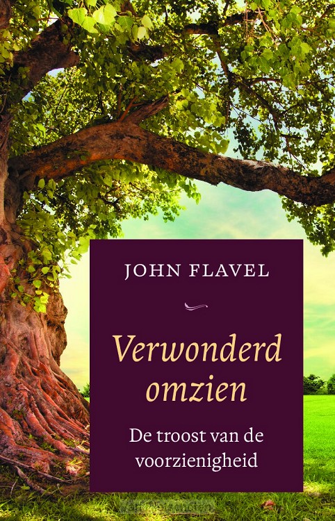 Verwonderd omzien