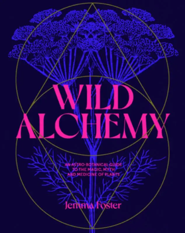 Foster, J: Wild Alchemy