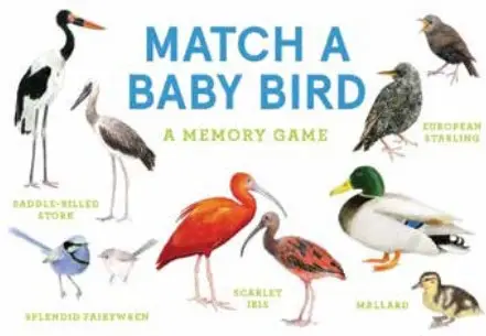 Match a Baby Bird