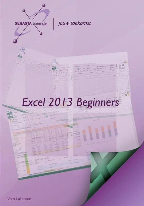 Excel 2013 / Beginners