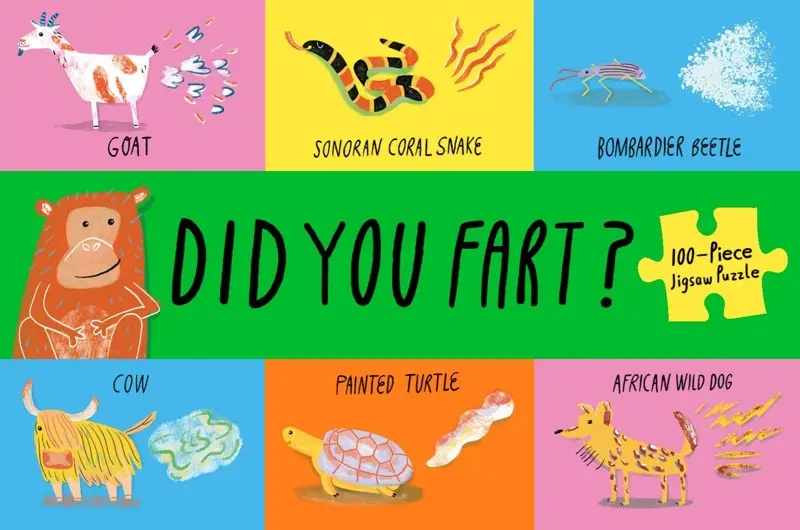 Did You Fart?