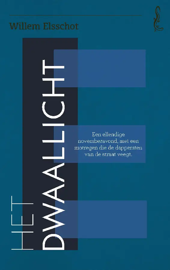 Het dwaallicht