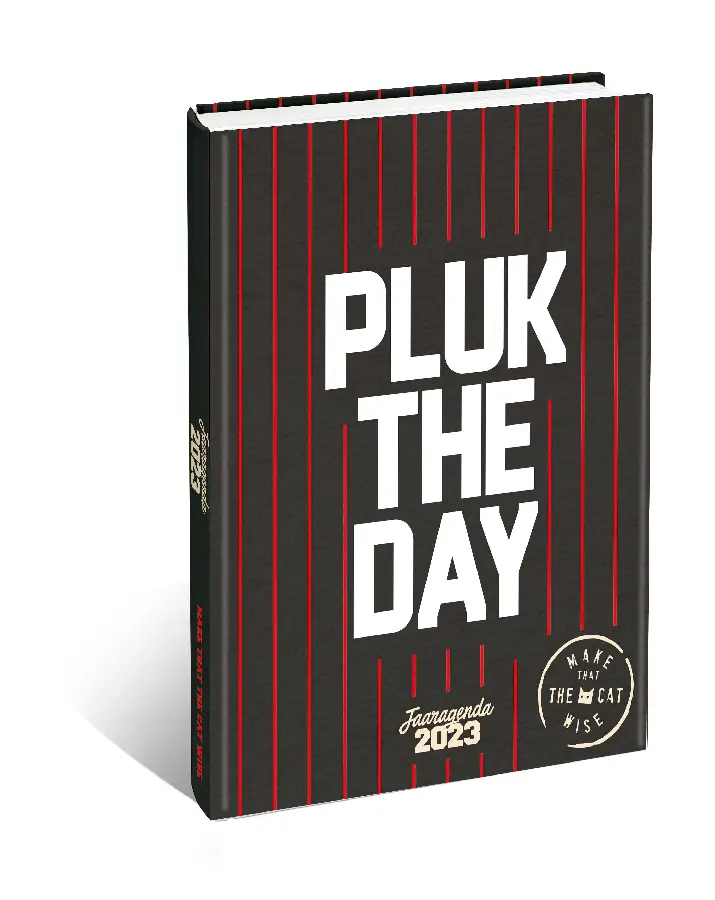 Jaaragenda Make That The Cat Wise / 2023