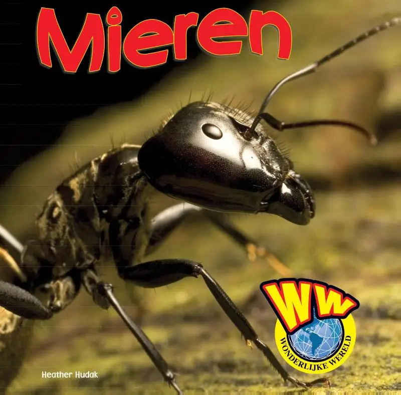 Mieren