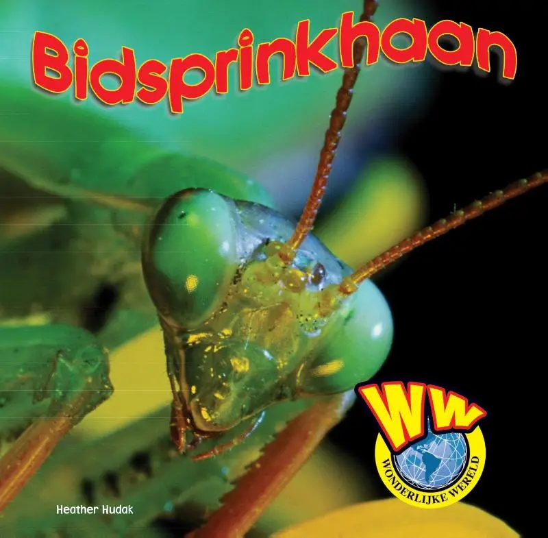 Bidsprinkhaan