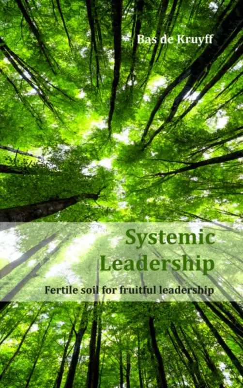 Systemic leadership