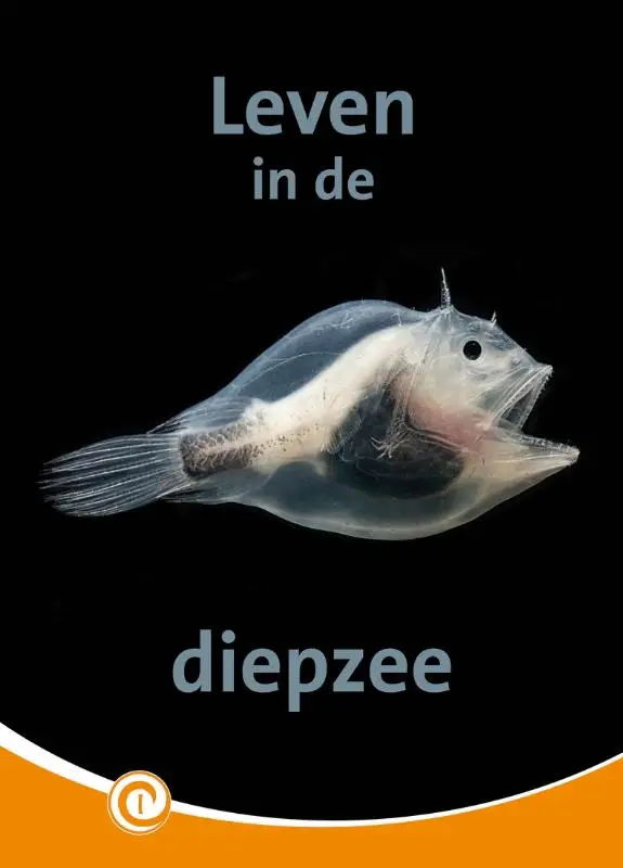 Leven in de diepzee