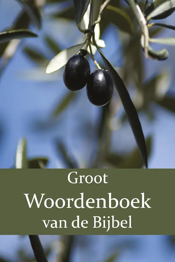 Groot Woordenboek van de Bijbel / deel 2