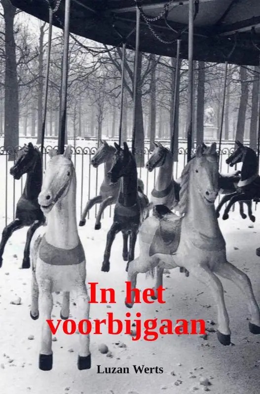 in het voorbijgaan