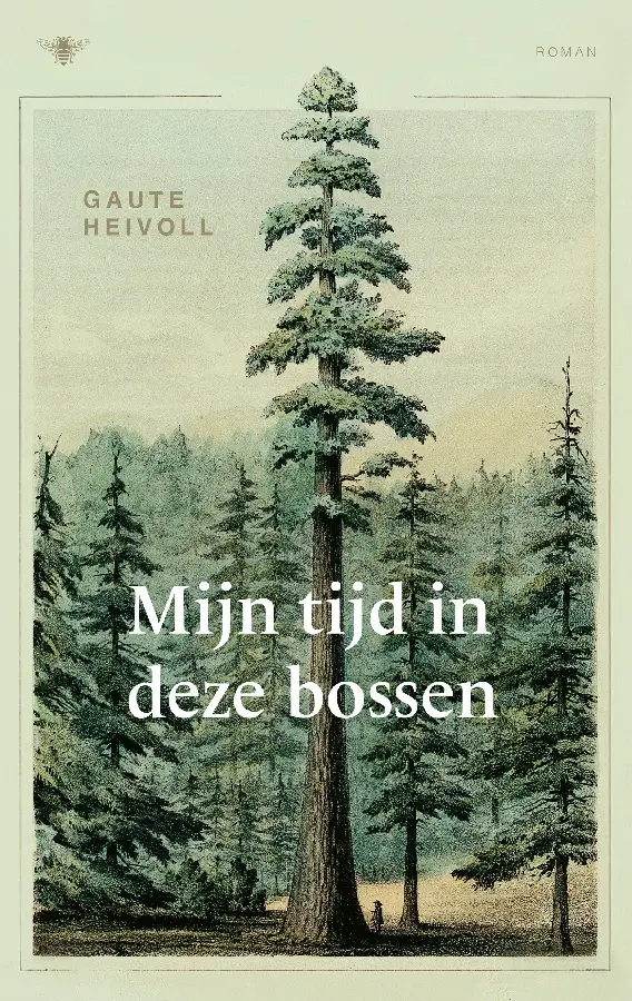 Mijn tijd in deze bossen