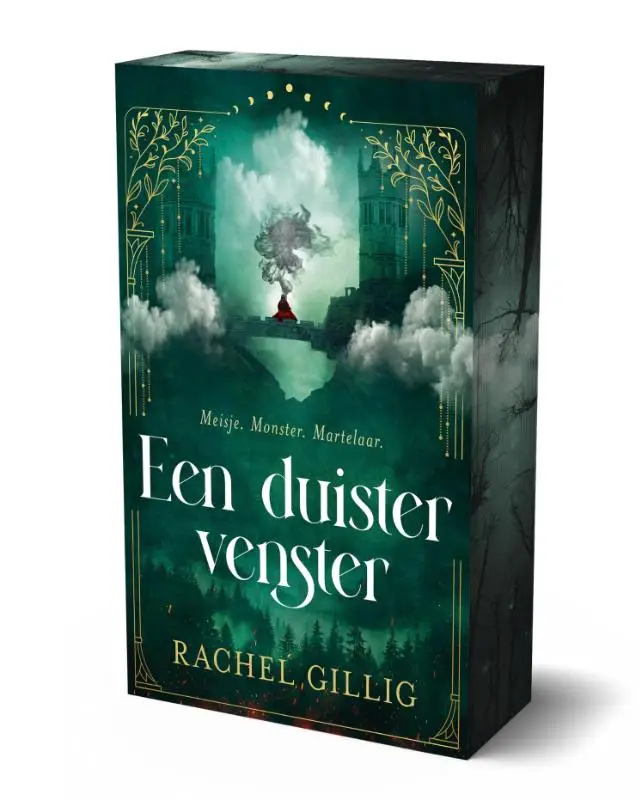 Een duister venster