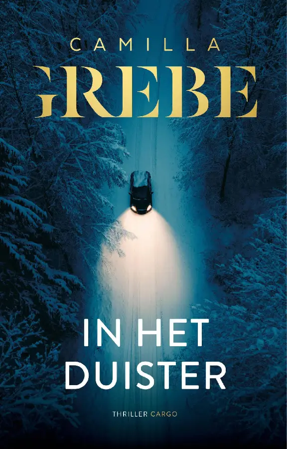 In het duister