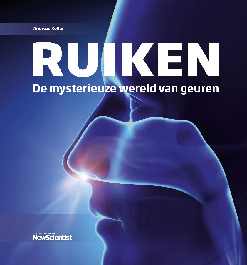 Ruiken