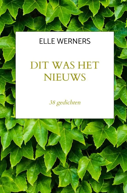 DIT WAS HET NIEUWS
