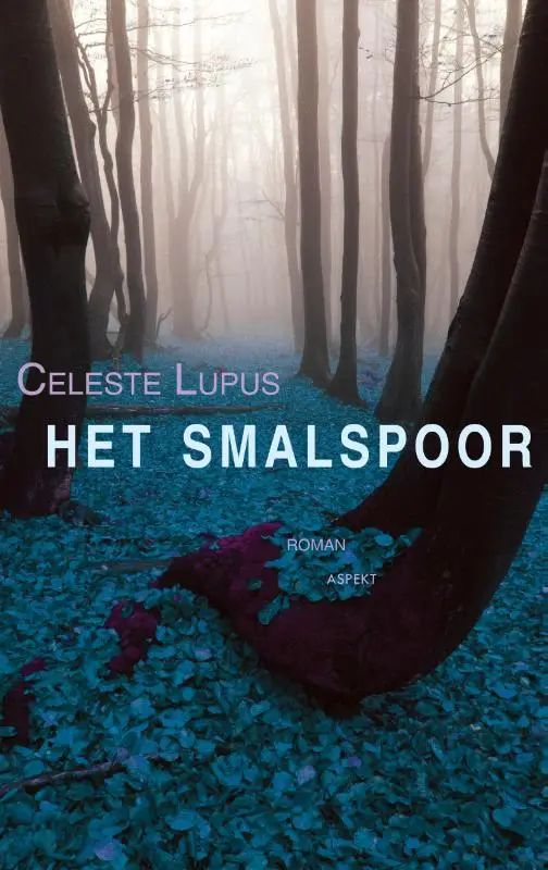 Hetr smalspoor