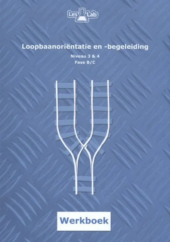 niveau 3 & 4 Fase B / Loopbaanoriëntatie en -begeleiding / Werkboek