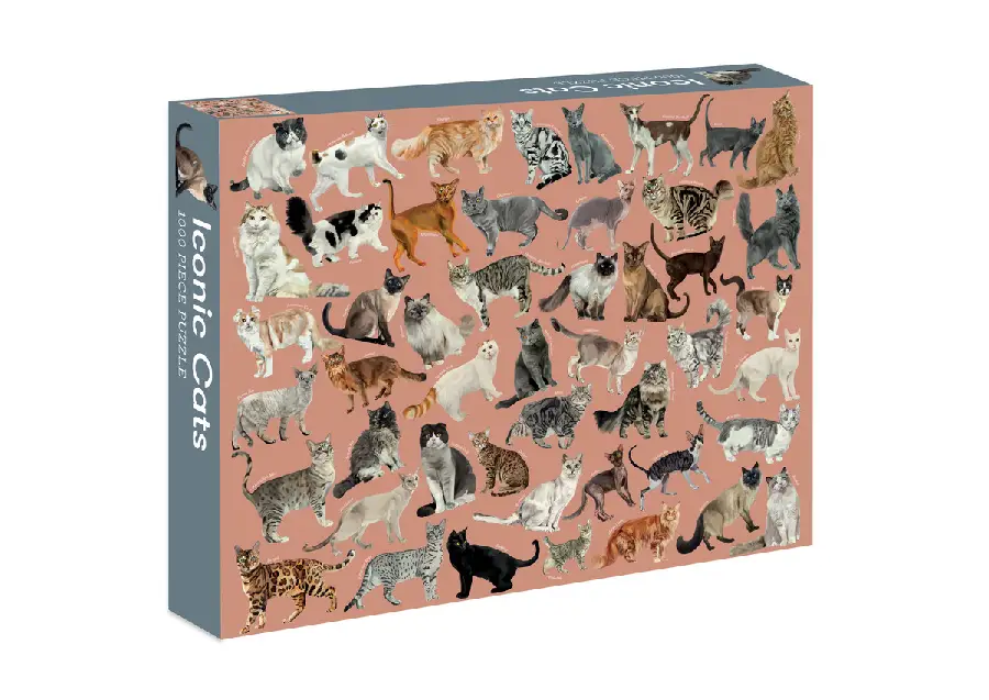Iconic Cats: 1000 piece jigsaw puzzle 