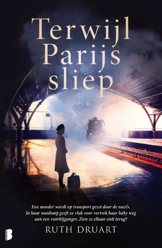 Terwijl Parijs sliep