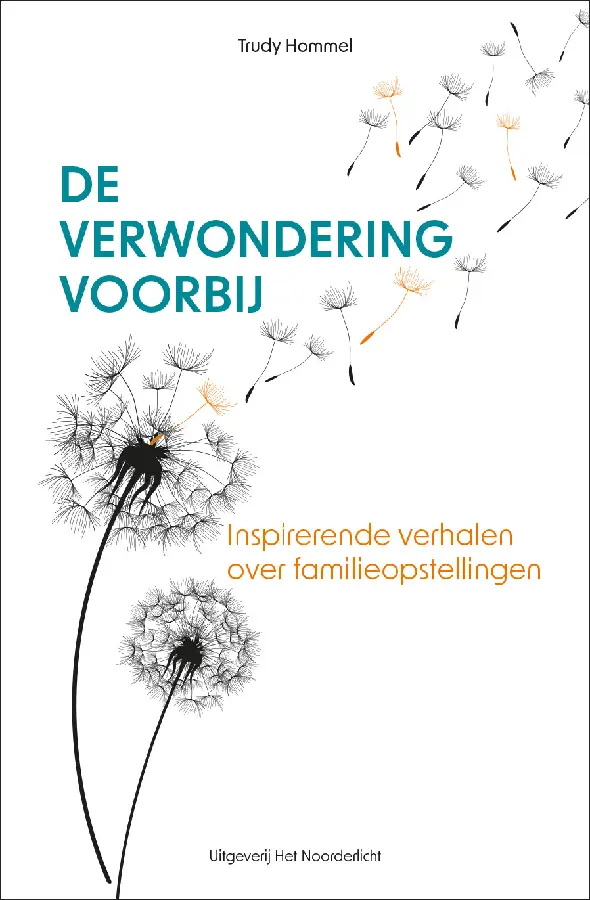 De verwondering voorbij
