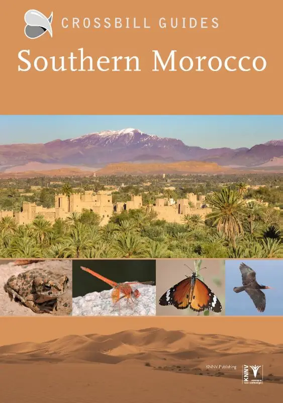 Crossbill Guide Southern Morocco