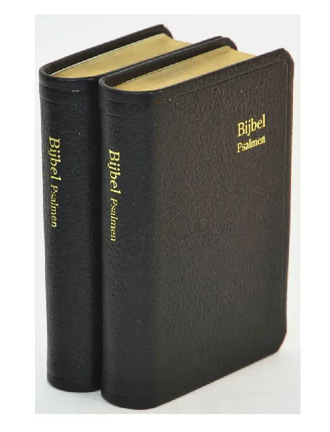 Dameszakbijbel D32 RITMISCH leer goudsn