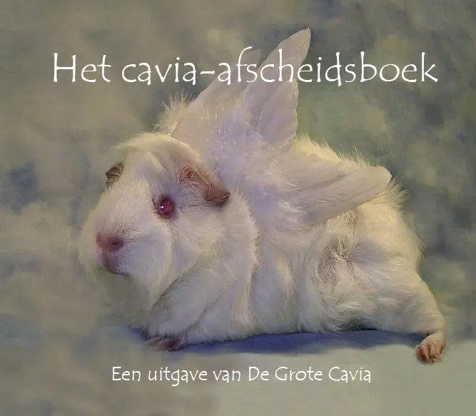Het cavia afscheidsboek / 2
