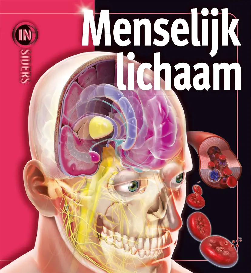 Het menselijk lichaam