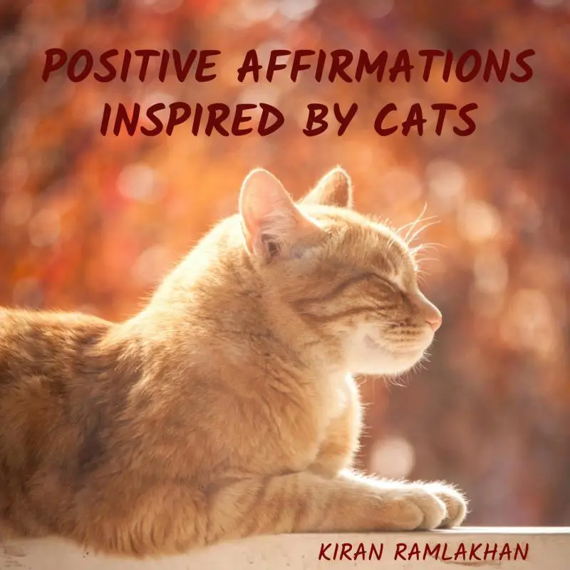 Positive Affirmations Inspired by Cats