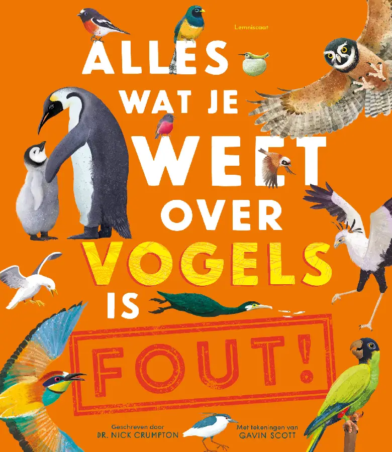 Alles wat je weet over vogels is FOUT!