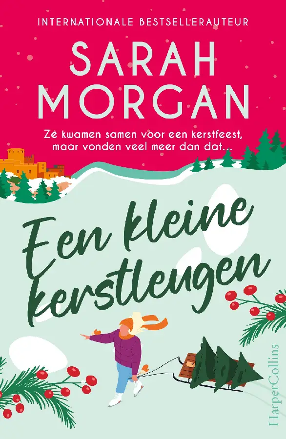 Een kleine kerstleugen
