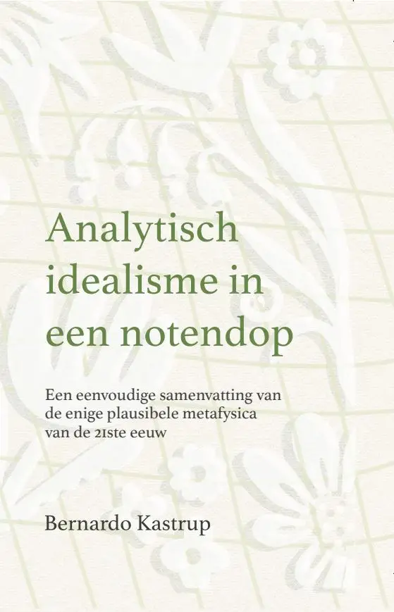 Analytisch idealisme in een notendop