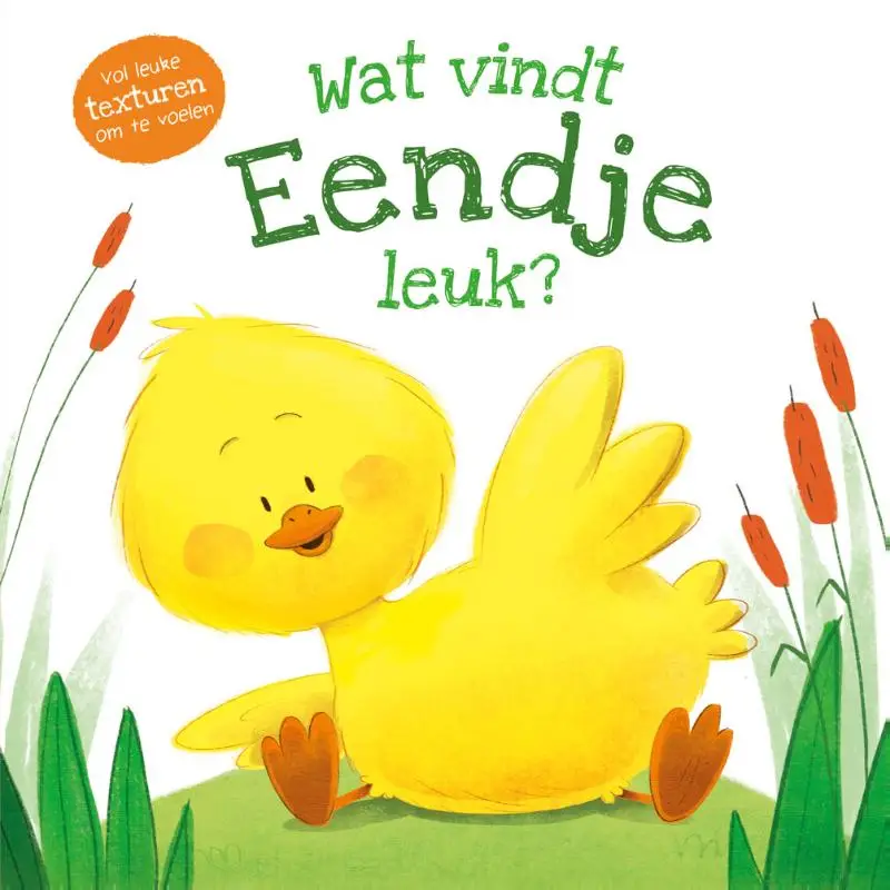 Wat vindt eendje leuk?