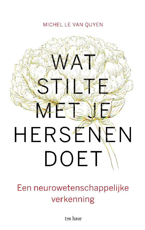 Wat stilte met je hersenen doet